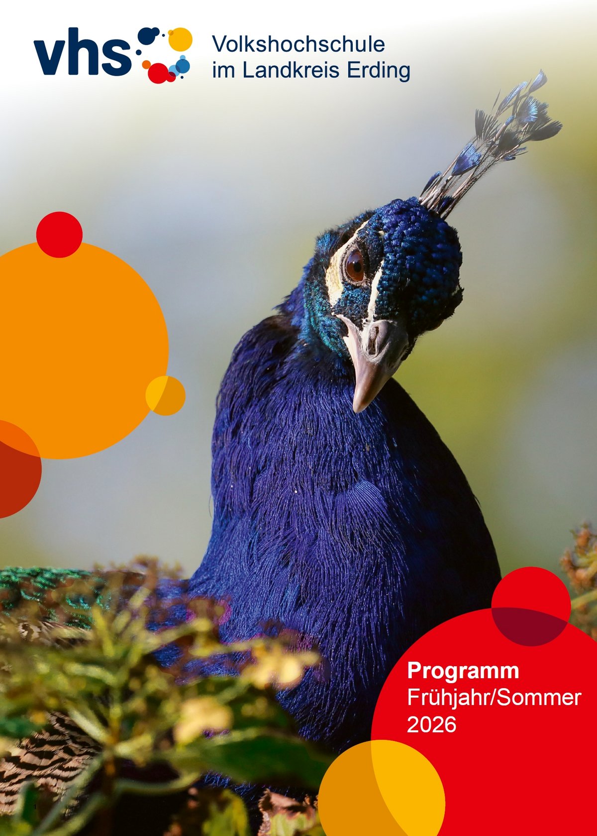 Titelseite Programmheft Frühjahr Sommer 2026 der VHS im Landkreis Erding