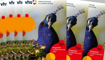 Bild mit mehreren Programmheften