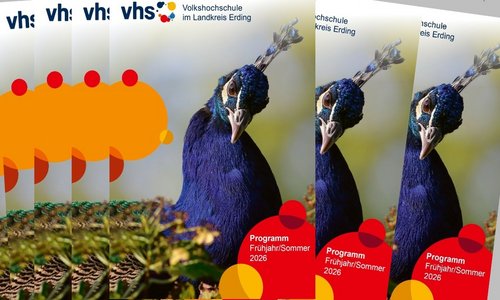 Bild mit mehreren Programmheften